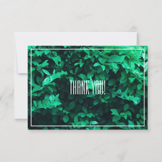 Pale Green Leaf Plant Thank You Flat Card (Front)