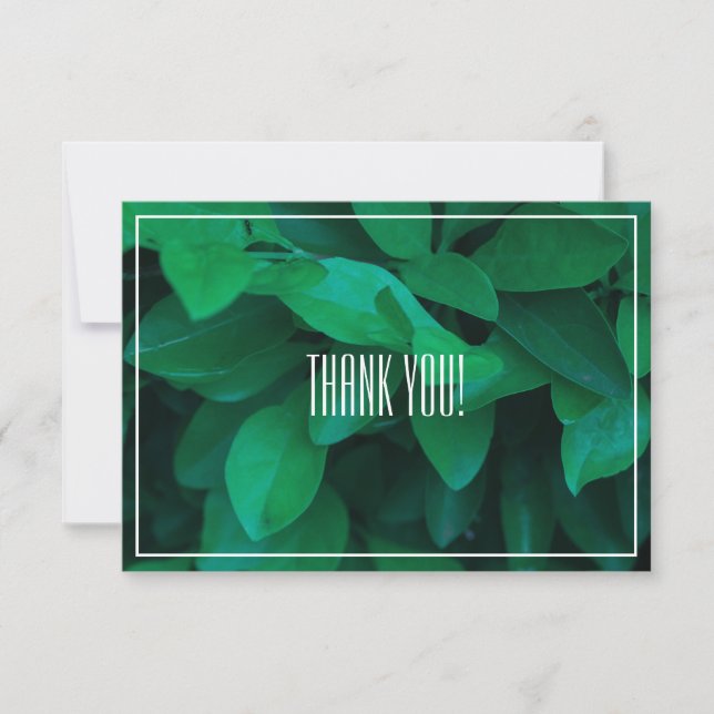 Pale Green Leaf Plant Thank You Flat Card (Front)