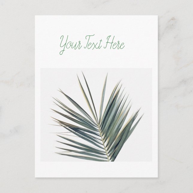 Pale green leaf postcard (Front)