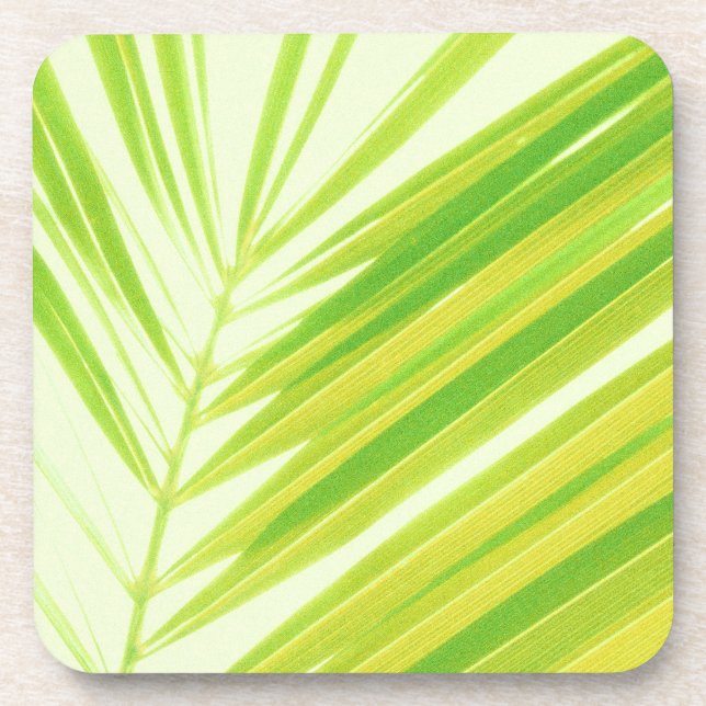 Pale Green Pastel Palm Leaves Beverage Coaster (Front)