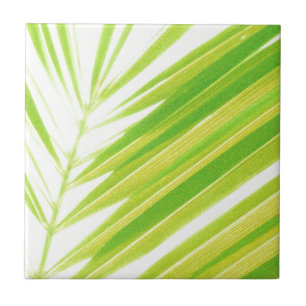 Pale Green Pastel Palm Leaves Ceramic Tile