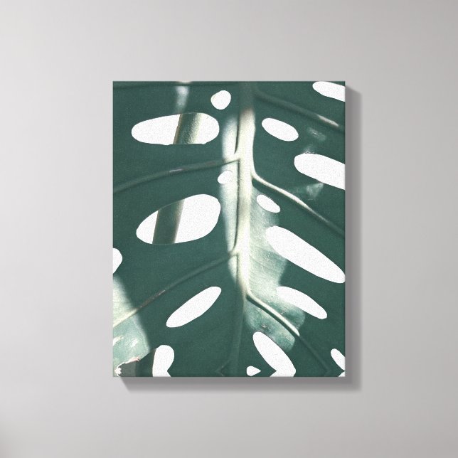 Pale Green Pastel Swiss Cheese Plant Canvas Print (Front)