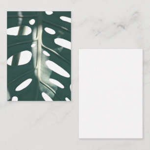 Pale Green Pastel Swiss Cheese Plant Enclosure Card