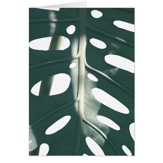 Pale Green Pastel Swiss Cheese Plant Greeting Card (Front)