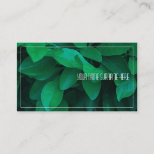 Pale Green Plant Leaves Nature Feel Business Card