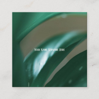 Pale Green Plant Leaves Nature Feel Business Card