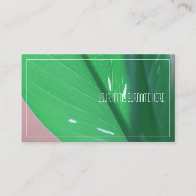 Pale Green Plant Leaves Nature Feel Business Card (Front)