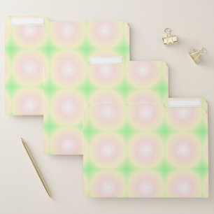 Pale Green Rose White 3D Optical Gradient Pattern File Folder