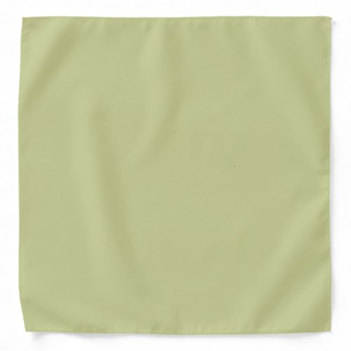 Pale Green Solid Color Bandana