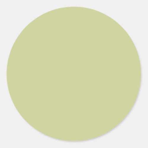 Pale Green Solid Color Classic Round Sticker