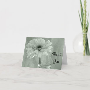 Pale Green Tinted Daisy Thank You