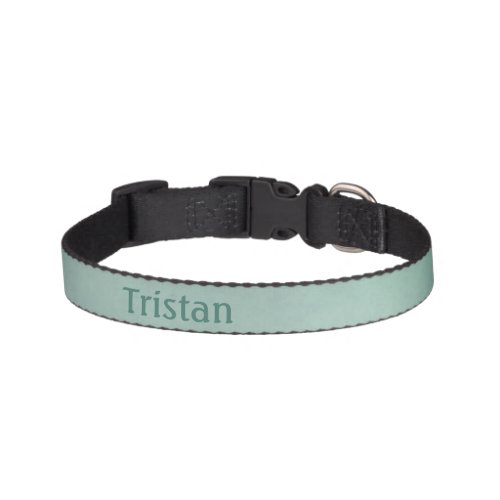 Pale Green with Name Pet Collar