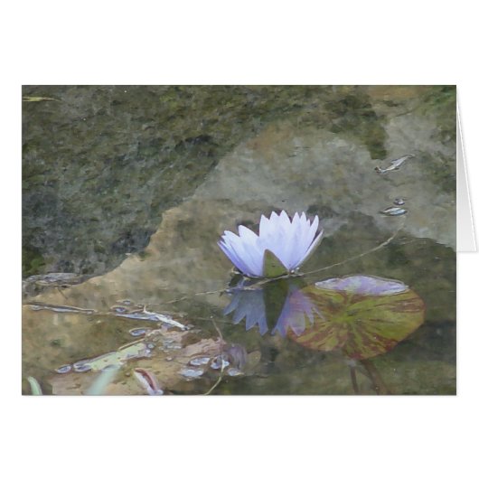Pale lavenday waterlily card (Front Horizontal)