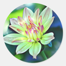 Pale Ombre Orange Pink Giant Dahlia Flower Art