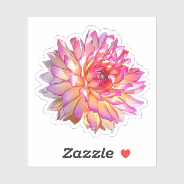Pale Ombre Orange Pink Giant Dahlia Flower Sticker (Sheet)