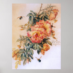 Pale Orange Roses Vintage Poster