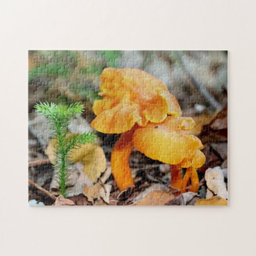 Pale Orange Wild Mushroom Family Nature  Jigsaw Puzzle