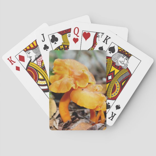 Pale Orange Wild Mushroom Family Nature  Poker Cards (Back)