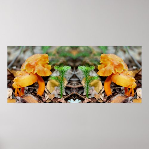 Pale Orange Wild Mushrooms Mirror Abstract Poster