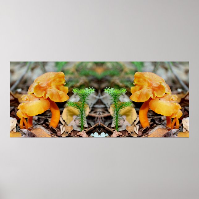 Pale Orange Wild Mushrooms Mirror Abstract Poster (Front)