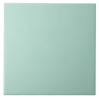 Pale Pastel Green Ceramic Tile. Ceramic Tile
