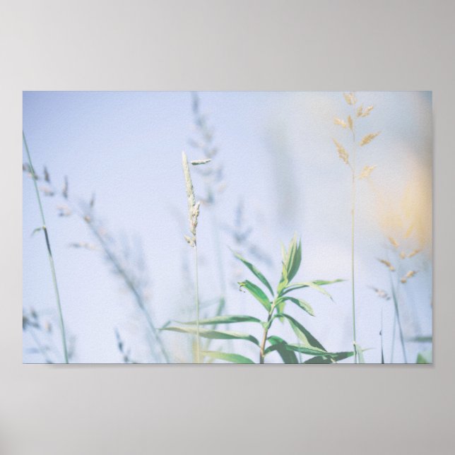Pale Pastel Green Grass Reeds Meadow Sky Poster (Front)