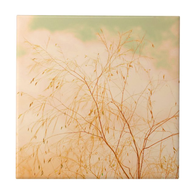 Pale Pastel Light Shades Tree Brunches Sky Ceramic Tile (Front)