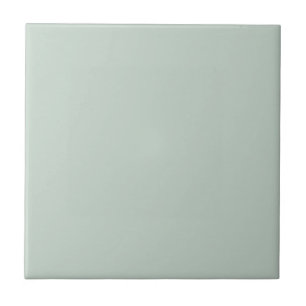 Pale Pastel Mint Green Solid Color Pairs To SW6456 Ceramic Tile