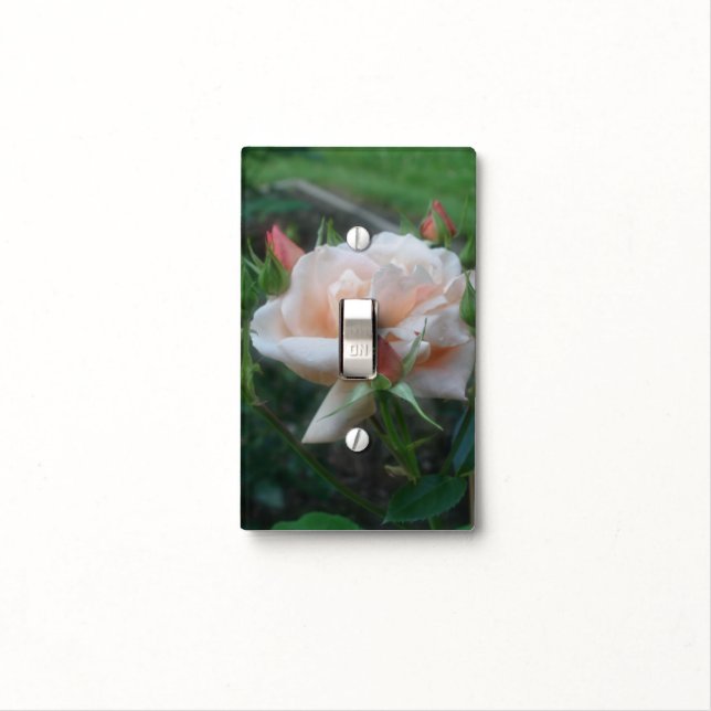 Pale Peach Rose Flower Nature Light Switch Cover (In Situ)