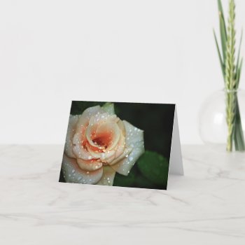 Pale Peach Rose Note Card by KKHPhotosVarietyShop at Zazzle