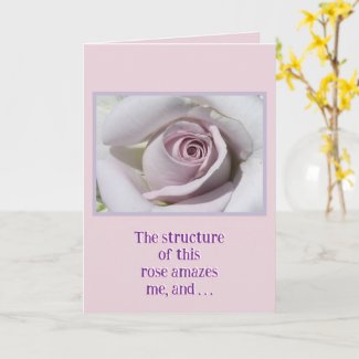 PALE PINK AND CREAM ROSE / BIRTHDAY