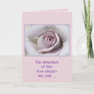 PALE PINK AND CREAM ROSE / BIRTHDAY