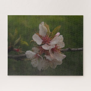 Pale Pink Cherry Blossoms on Green Background Jigsaw Puzzle