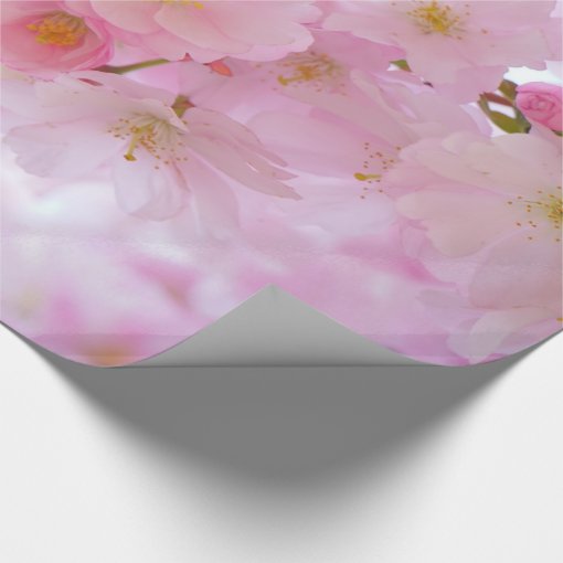 Pale Pink Cherry Blossoms Wrapping Paper | Zazzle