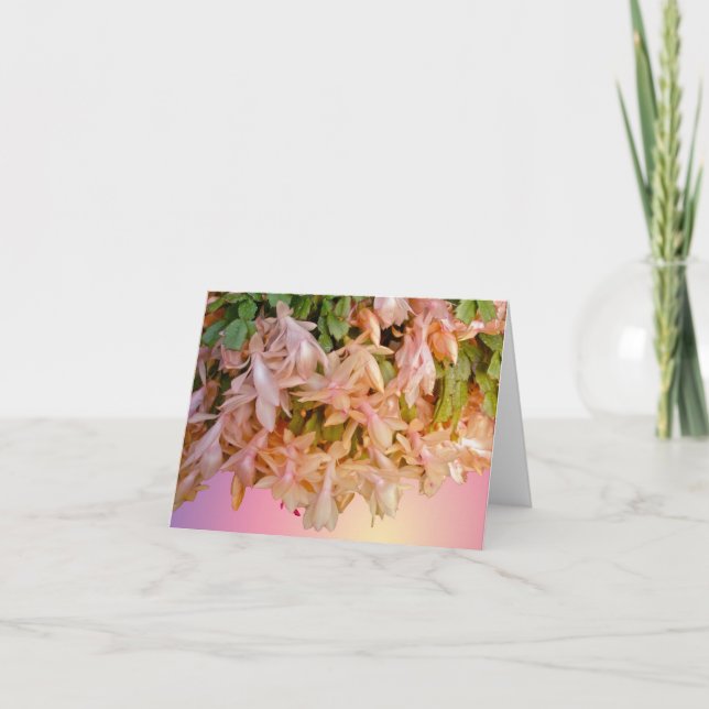 Pale Pink Christmas Cactus Note Card (Front)