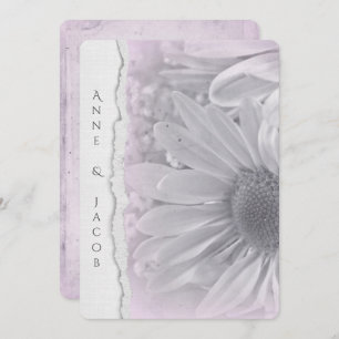pale pink daisy macro on torn edge paper invitation