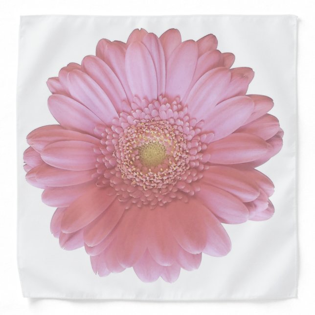 Pale pink gerbera daisy bandana (Front)