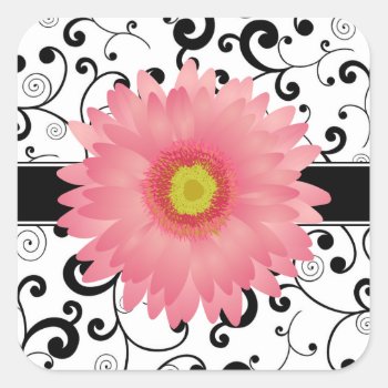 Pale Pink Gerbera Daisy Black Scroll Design Seal by prettypicture at Zazzle