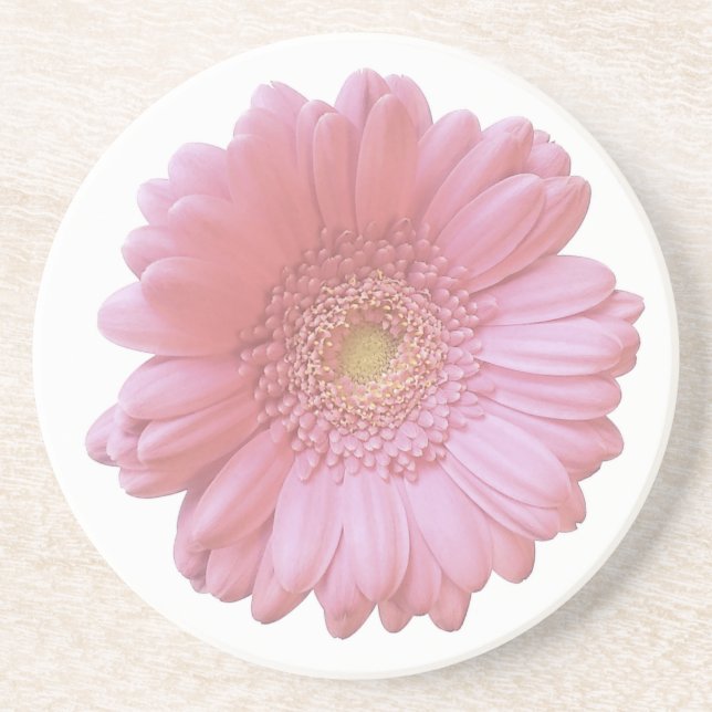Pale pink gerbera daisy drink coaster (Front)
