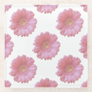 Pale pink gerbera daisy glass coaster