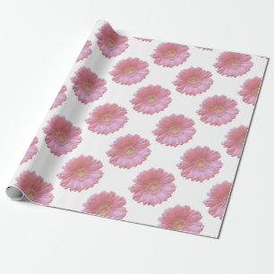 Pale pink gerbera daisy wrapping paper