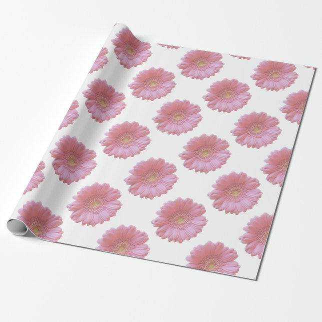 Pale pink gerbera daisy wrapping paper (Unrolled)
