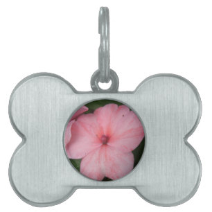 Pale Pink Impatiens Flower Pet Tag