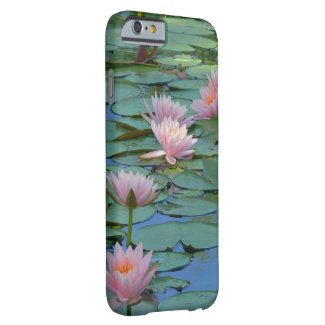 PALE PINK LOTUS BLOSSOMS AMID GREEN LILY PADS