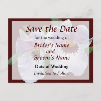 Pale Pink Orchid Save the Date Announcement Postcard