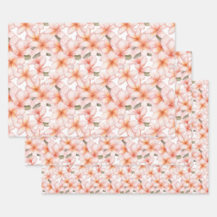 Pale Pink Plumeria Frangipani Flower Wrapping Paper Sheets