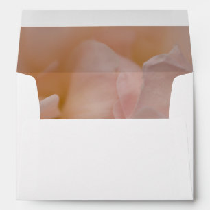 Pale Pink Rose Floral Envelope