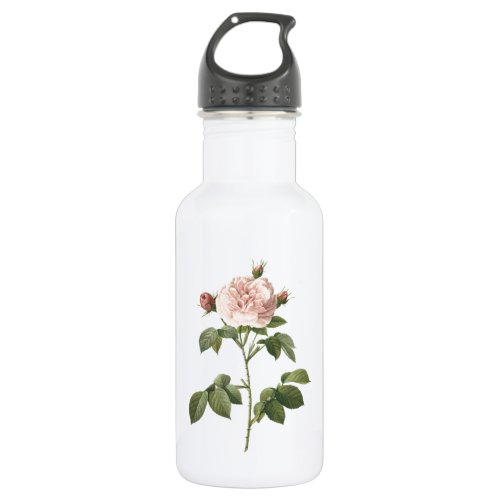 pale pink rose Rosa alba regalis by Redout Stainless Steel Water Bottle