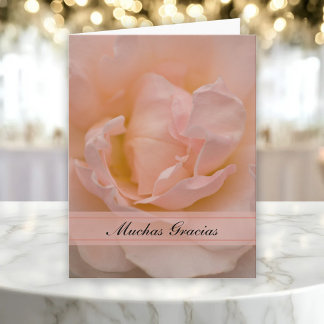 Pale Pink Rose Spanish Thank You Gracias Card