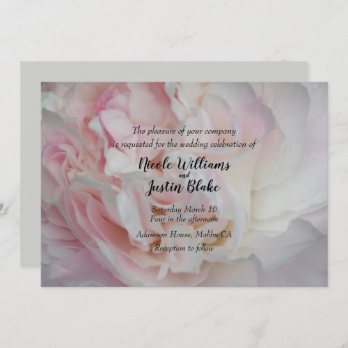 Pale pink rose wedding invitation